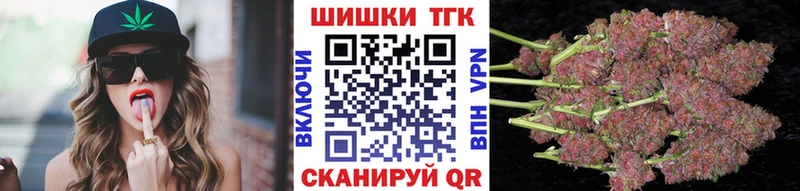 как найти наркотики  Арзамас  Бошки Шишки сатива 